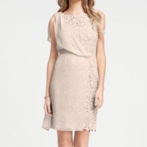 Ann Taylor Scalloped Lace Sheath Dress Sheer Chiffon Blush Cream Nude Vintage 4